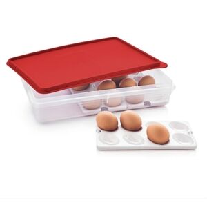 Tupperware  Large Snack Stor with egg inserts New